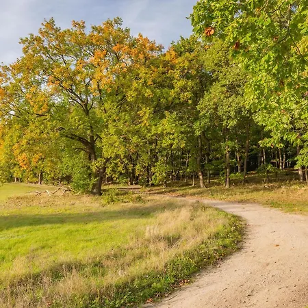 Дом отдыха Amber 6k Корсвандт